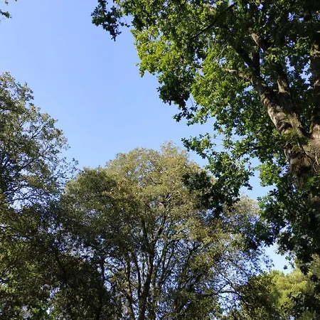 Mer Et Liberte Дом отдыха