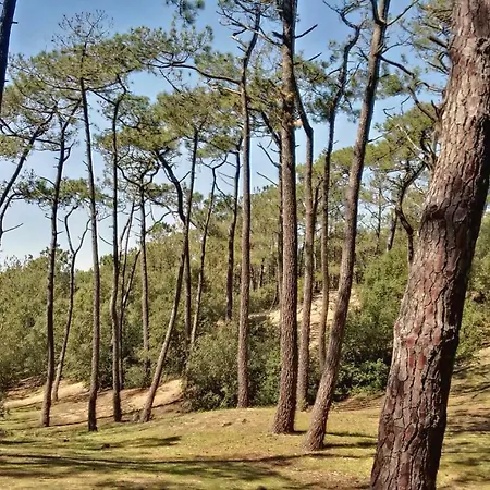 Дом отдыха Mer Et Liberte