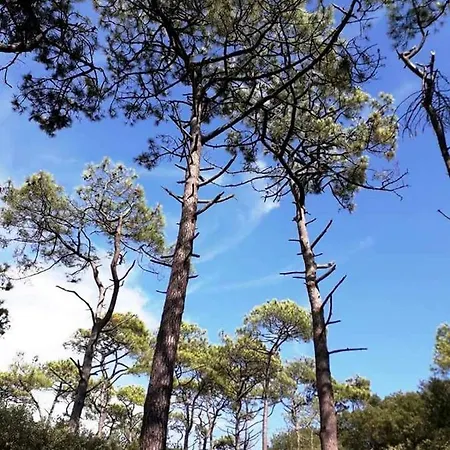 Дом отдыха Mer Et Liberte *