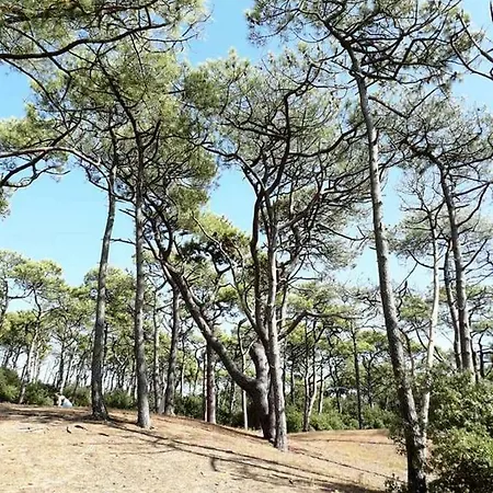 Mer Et Liberte * Сен-Бревен-ле-Пен