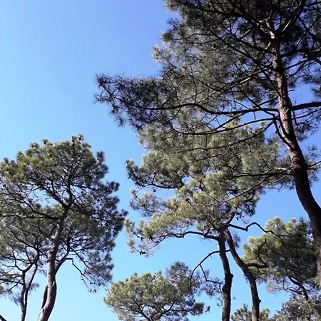 Дом отдыха Mer Et Liberte Сен-Бревен-ле-Пен