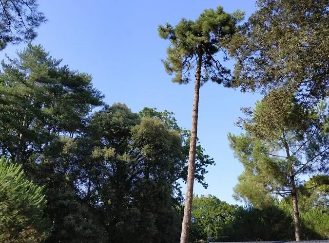 Mer Et Liberte Saint-Brévin-les-Pins