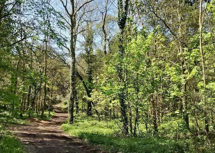 Mer Et Liberte Dom wakacyjny *