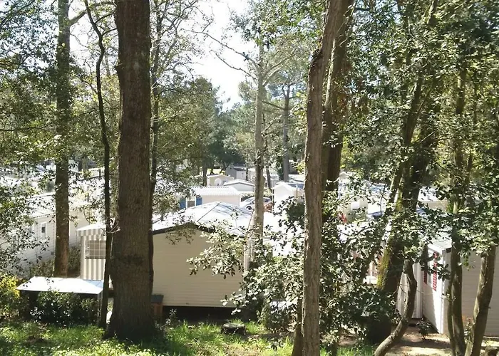 Mer Et Liberte Saint-Brévin-les-Pins