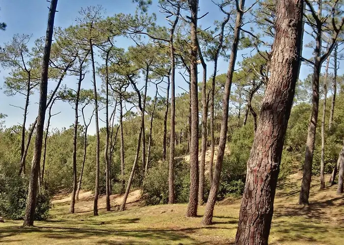 Dom wakacyjny Mer Et Liberte