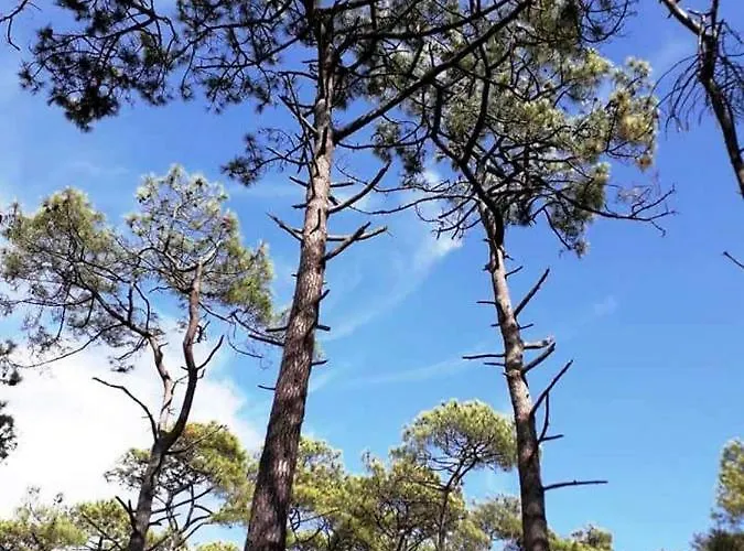 Dom wakacyjny Mer Et Liberte *