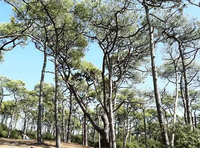 Mer Et Liberte * Saint-Brévin-les-Pins
