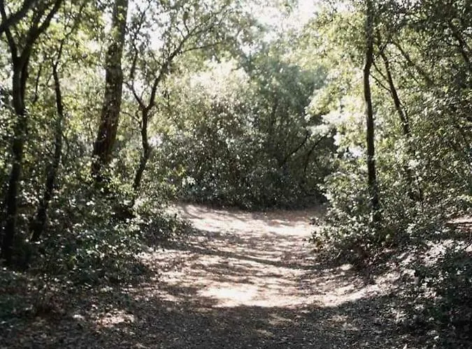 Mer Et Liberte * Saint-Brévin-les-Pins