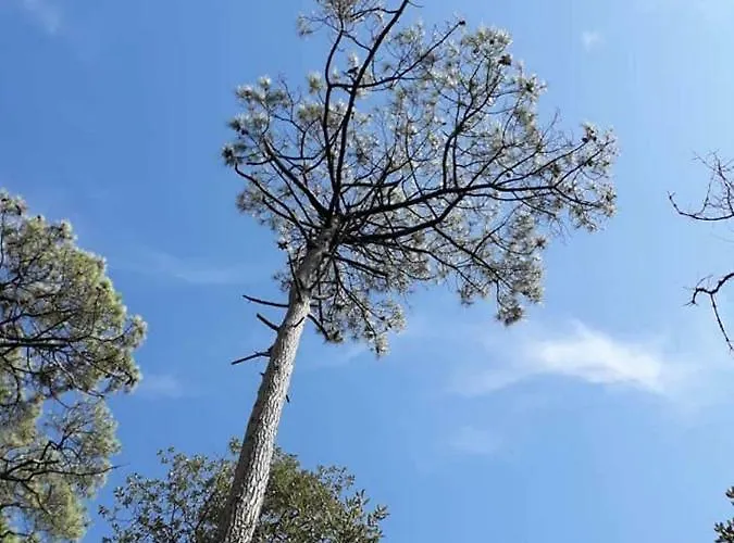 Mer Et Liberte * Saint-Brévin-les-Pins