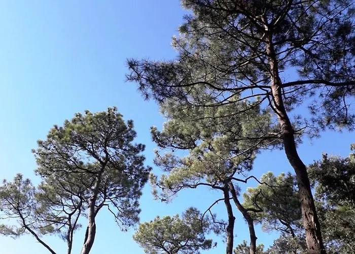 Dom wakacyjny Mer Et Liberte Saint-Brévin-les-Pins